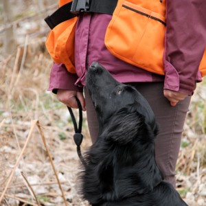 dummy-training4