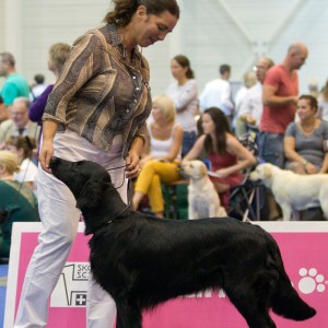 A---IMG_1556