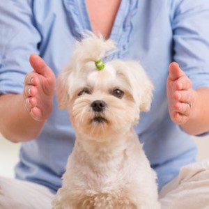 Woman practicing reiki therapy